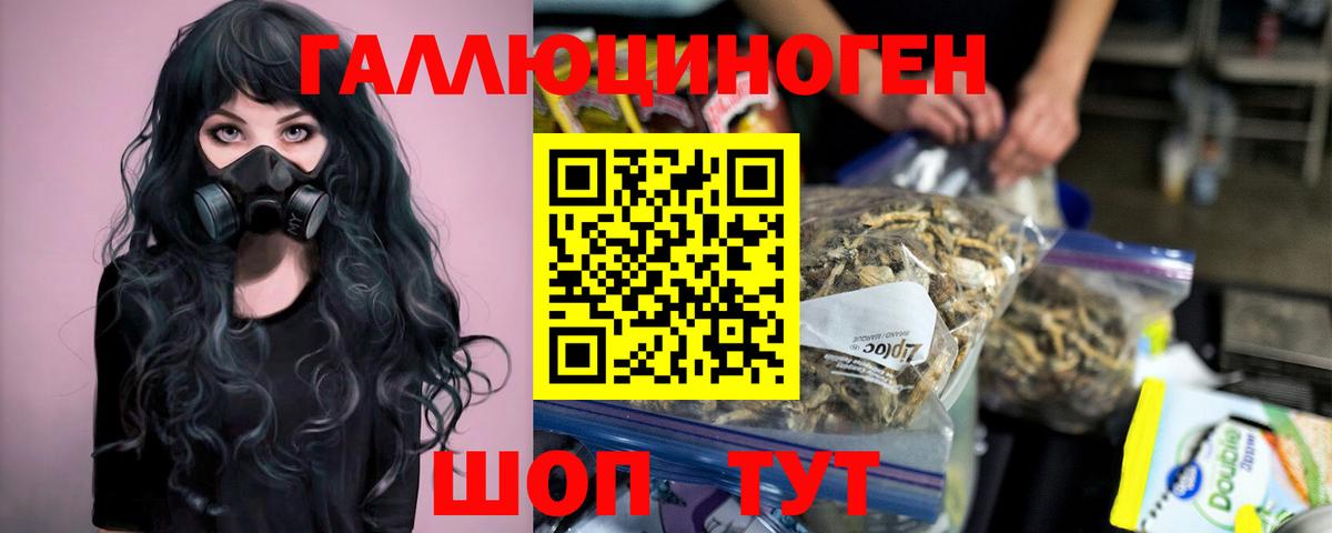 Галлюциногенные грибы Psilocybe Ростов Великий
